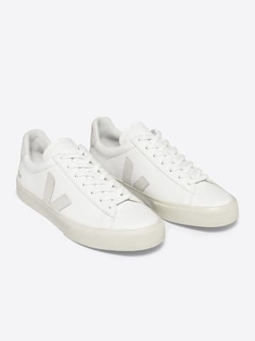 Veja Leder-Sneakers "Campo" in Weiß/ Creme