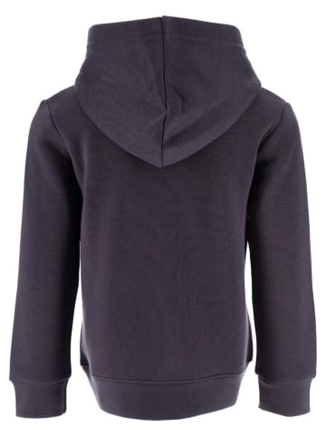 Disney Minnie Mouse Hoodie "Minnie" antraciet/meerkleurig