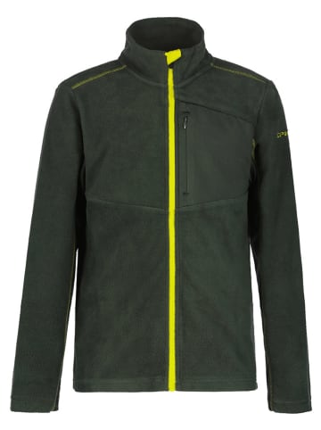 Icepeak Fleece vest "Lohmar" groen