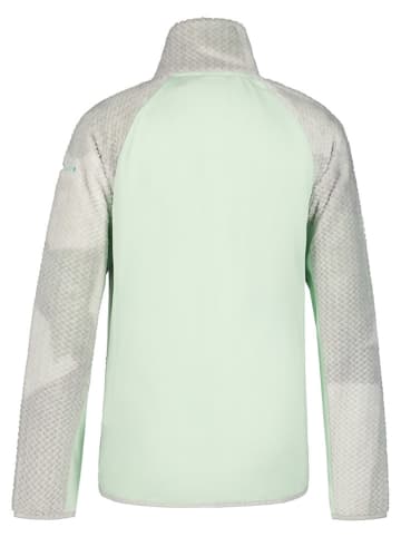 Icepeak Fleecejacke "Lyndon" in Grau/ Mint