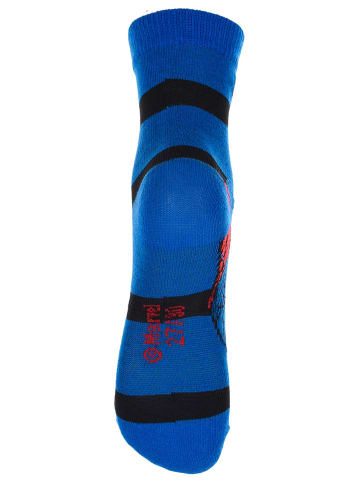 Spiderman 3-delige set: sokken "Spiderman" meerkleurig
