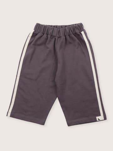 Turtledove London Sweathose in Anthrazit