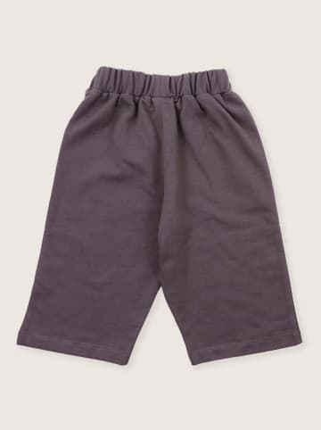 Turtledove London Sweathose in Anthrazit