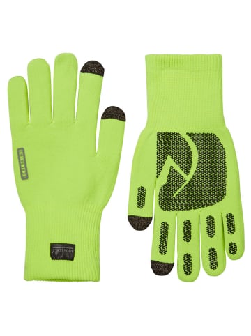 SEALSKINZ Funktionsfingerhandschuhe "Anmer" in Grün
