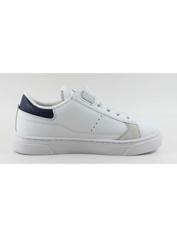 Levi´s Sneakers "Bryson" in Dunkelblau/ Weiß