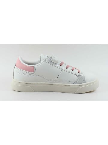 Levi´s Sneakers "Bryson" wit/lichtroze
