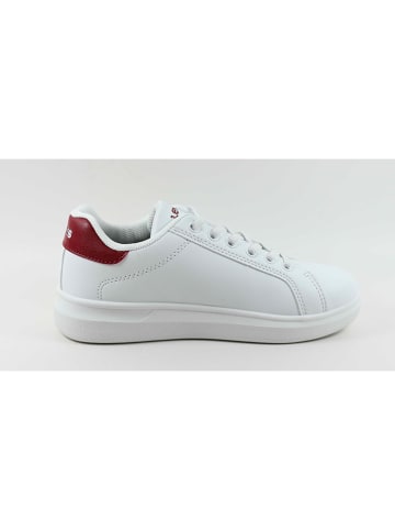 Levi´s Sneakers "Ellis" wit/rood