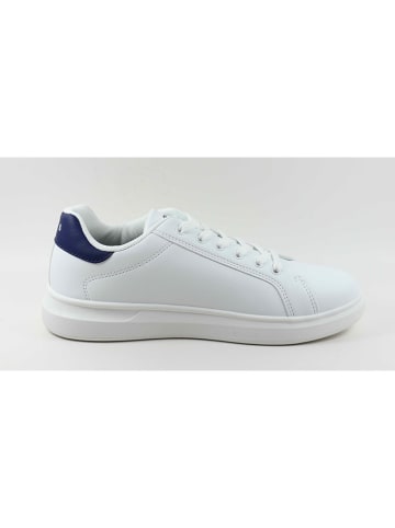 Levi´s Sneakers "Ellis" in Schwarz/ Weiß