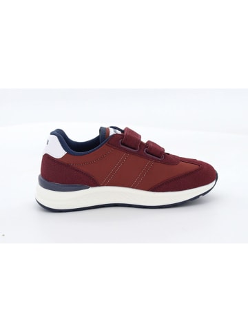 Levi´s Sneakers "Logan" rood