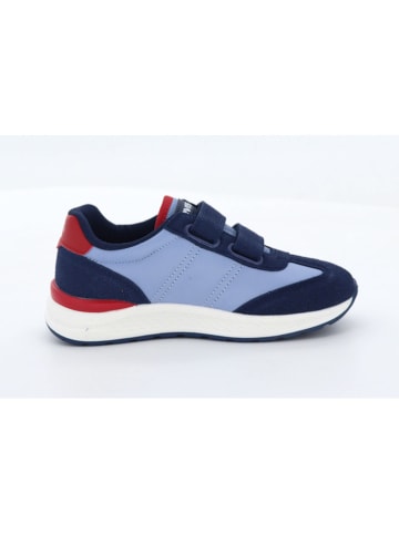 Levi´s Sneakers "Logan" in Hellblau/ Rot