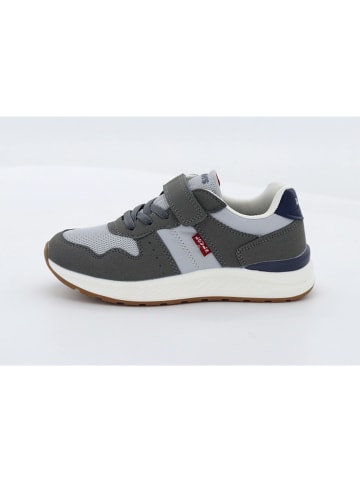Levi´s Sneakers "Oakland" in Grau