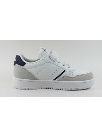Levi´s Sneakers "Aiden" wit/grijs