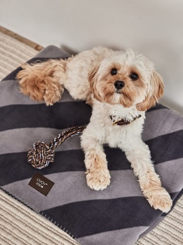 OYOY zoo Hundedecke "Kaya" in Grau - (L)205 x (B)180 cm