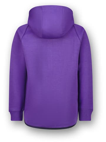 Vingino Sweatvest paars