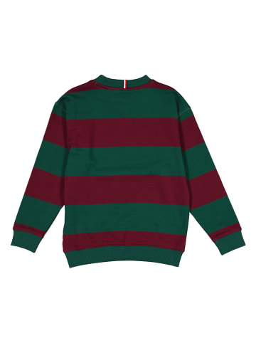 Tommy Hilfiger Sweatshirt in Grün/ Bordeaux
