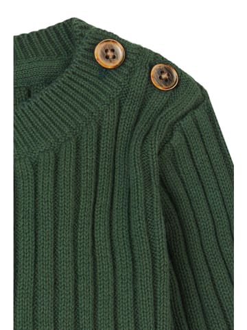 Noppies Pullover "Golbey" in Grün