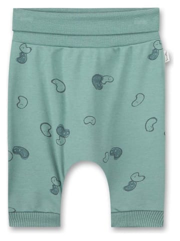 Sanetta Kidswear Hose in Grün