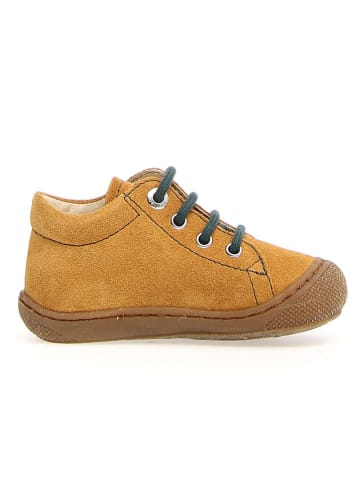 Naturino Leder-Sneakers "Cocoon" in Ocker