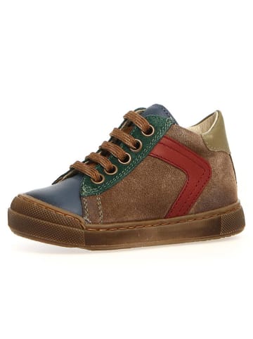 Naturino Leder-Sneakers "Heist"  in Hellbraun