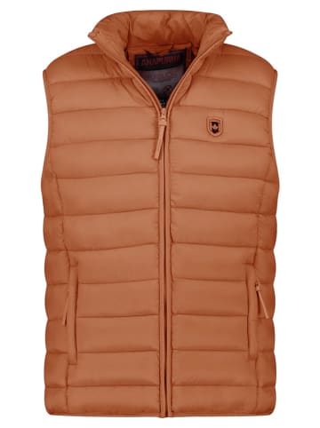 ANAPURNA Kamizelka pikowana "Vamitalana" w kolorze szarobrązowym