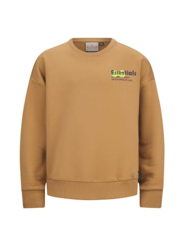 Retour Sweatshirt in Hellbraun