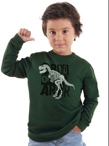 Denokids Sweatshirt in Grün
