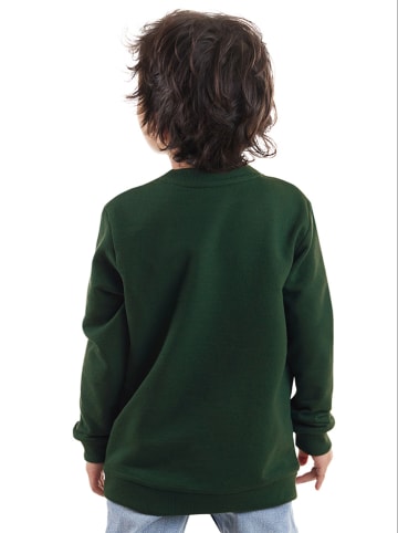 Denokids Sweatshirt in Grün