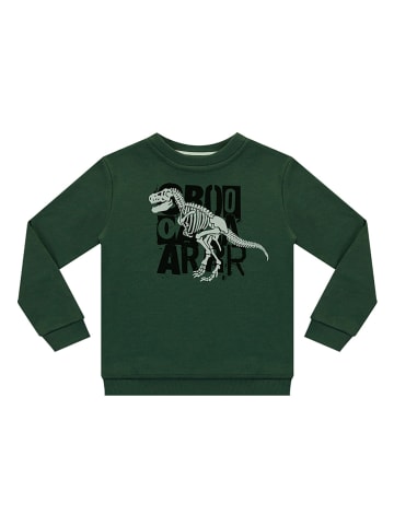Denokids Sweatshirt in Grün
