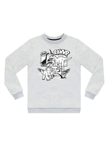 Denokids Bluza w kolorze szarym