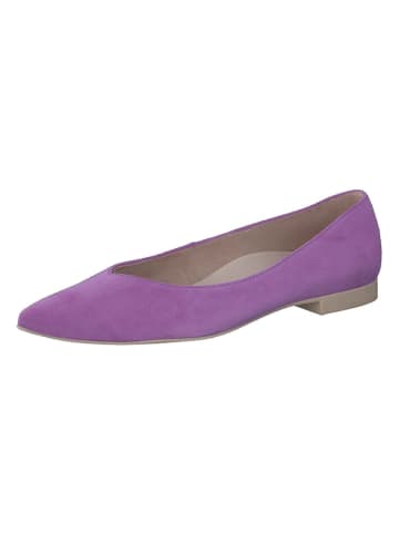 Paul Green Leder-Ballerinas  in Lila