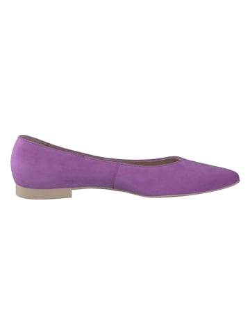 Paul Green Leder-Ballerinas  in Lila