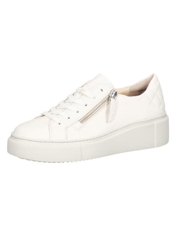 Paul Green Leder-Sneakers in Creme
