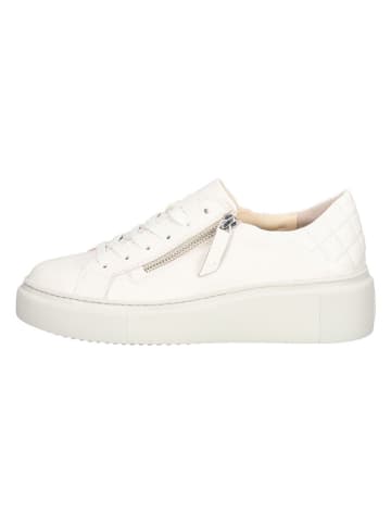Paul Green Leder-Sneakers in Creme