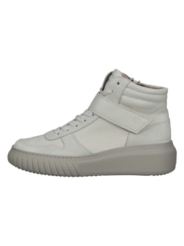 Paul Green Leder-Sneakers in Creme/ Beige