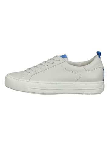 Paul Green Leder-Sneakers in Weiß/ Blau
