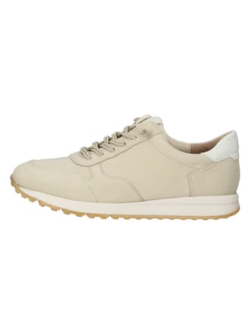 Paul Green Leder-Sneakers in Beige/ Creme