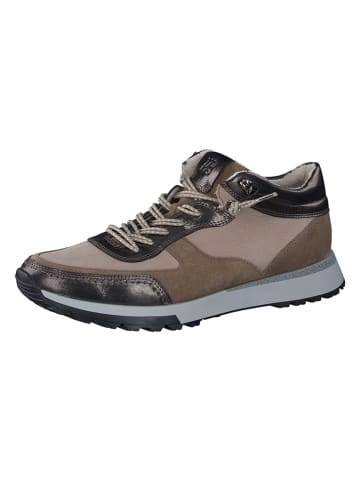 Paul Green Leder-Sneakers in Braun
