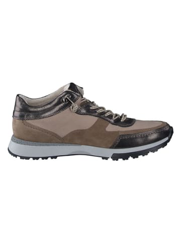 Paul Green Leder-Sneakers in Braun