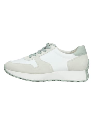 Paul Green Leder-Sneakers in Weiß/ Creme/ Grün