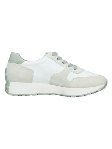 Paul Green Leder-Sneakers in Weiß/ Creme/ Grün
