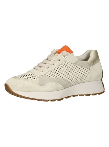 Paul Green Leder-Sneakers in Beige/ Orange/ Gold