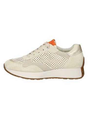 Paul Green Leder-Sneakers in Beige/ Orange/ Gold