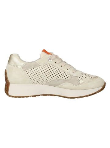 Paul Green Leder-Sneakers in Beige/ Orange/ Gold
