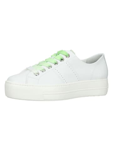 Paul Green Leder-Sneakers in Weiß/ Grün