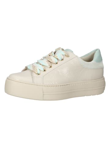 Paul Green Leder-Sneakers in Beige/ Hellblau