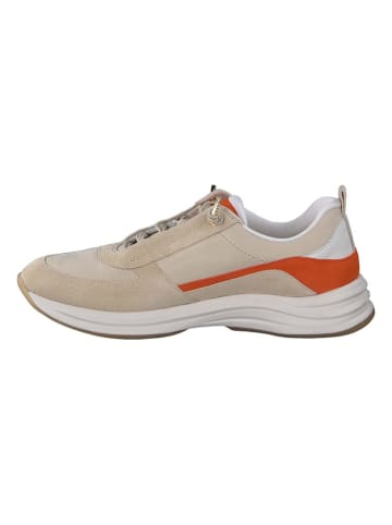 Paul Green Leder-Sneakers in Beige/ Orange