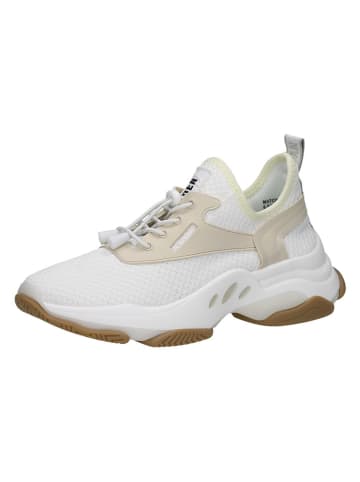 Steve Madden Leder-Sneakers in Weiß/ Beige/ Creme