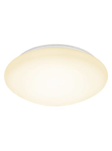 Halo Design LED-Deckenleuchte "Basic" in Creme - Ø 29 cm