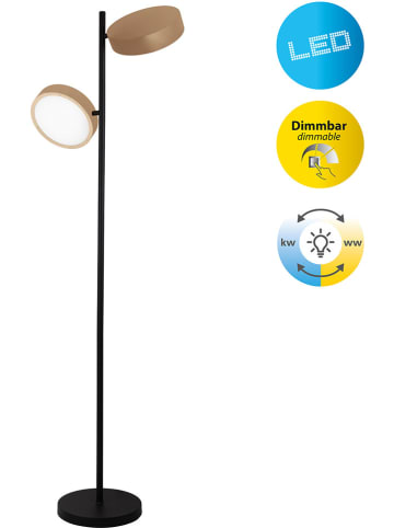 näve LED-Standleuchte "Tassa" in Hellbraun/ Schwarz - EEK F (A bis G)