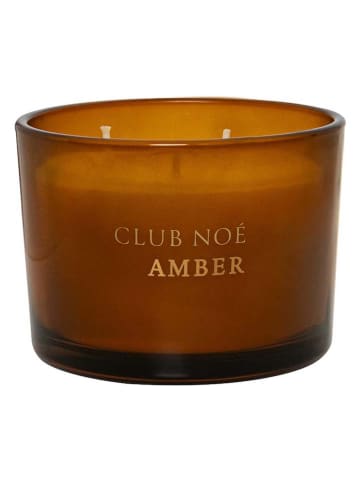AVA & MAY Duftkerze ''Club Noé'' in Braun - 350 g